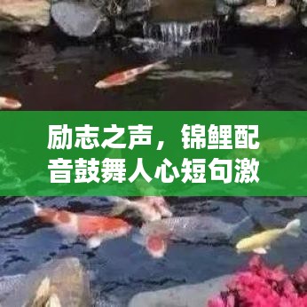 励志之声，锦鲤配音鼓舞人心短句激励前行