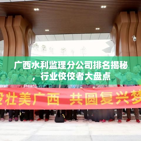 广西水利监理分公司排名揭秘，行业佼佼者大盘点