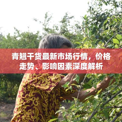 青翘干货最新市场行情，价格走势、影响因素深度解析