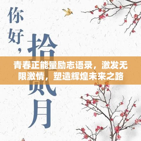 青春正能量励志语录，激发无限激情，塑造辉煌未来之路
