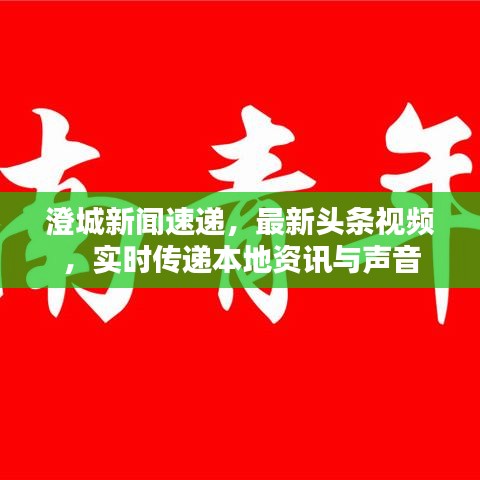 澄城新闻速递，最新头条视频，实时传递本地资讯与声音