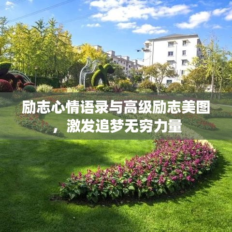 励志心情语录与高级励志美图，激发追梦无穷力量