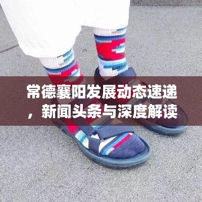 常德襄阳发展动态速递，新闻头条与深度解读