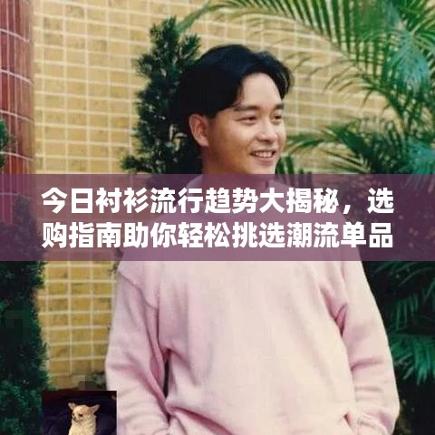 今日衬衫流行趋势大揭秘，选购指南助你轻松挑选潮流单品