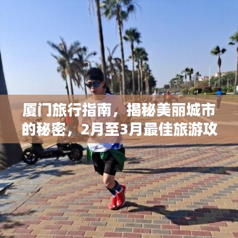 厦门旅行指南，揭秘美丽城市的秘密，2月至3月最佳旅游攻略