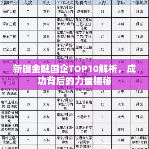 新疆金融国企TOP10解析，成功背后的力量揭秘