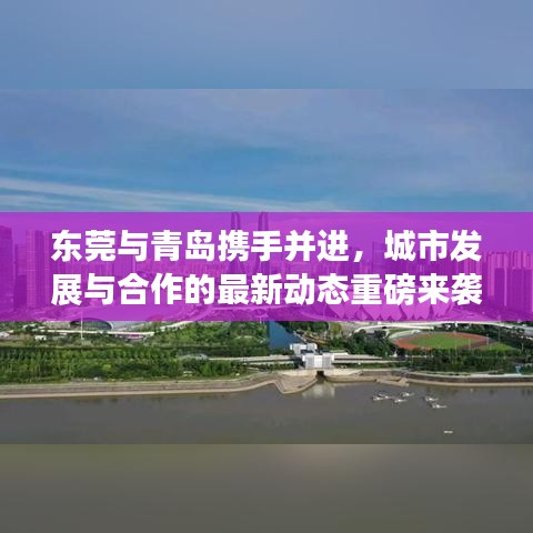东莞与青岛携手并进，城市发展与合作的最新动态重磅来袭！