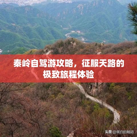 秦岭自驾游攻略，征服天路的极致旅程体验
