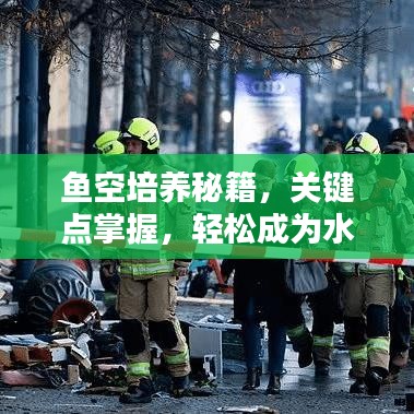 鱼空培养秘籍，关键点掌握，轻松成为水族箱大师！