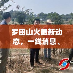 罗田山火最新动态，一线消息、公众关注焦点持续更新