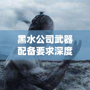 黑水公司武器配备要求深度解析