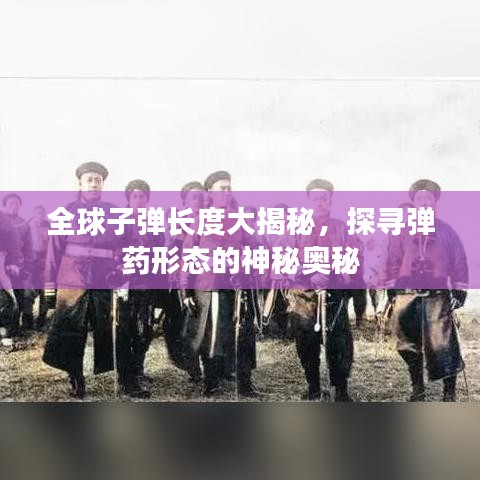 全球子弹长度大揭秘，探寻弹药形态的神秘奥秘