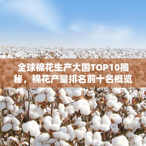 2025年6月25日 第44页