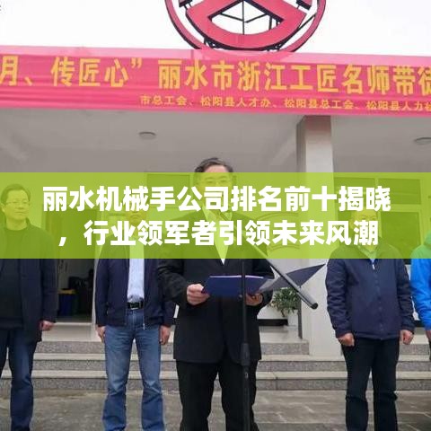 丽水机械手公司排名前十揭晓，行业领军者引领未来风潮