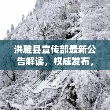 洪雅县宣传部最新公告解读，权威发布，深度剖析！
