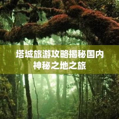 塔城旅游攻略揭秘国内神秘之地之旅