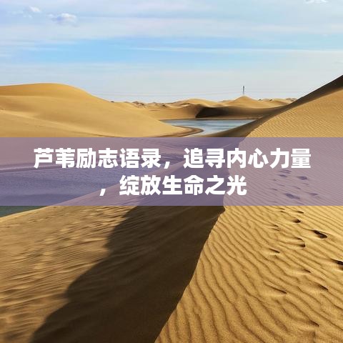 芦苇励志语录，追寻内心力量，绽放生命之光