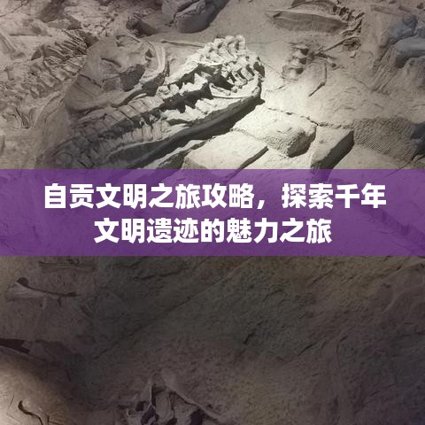 自贡文明之旅攻略，探索千年文明遗迹的魅力之旅