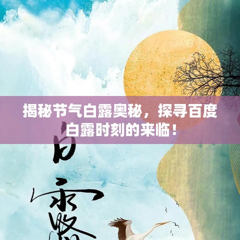 揭秘节气白露奥秘，探寻百度白露时刻的来临！