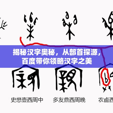 揭秘汉字奥秘，从部首探源，百度带你领略汉字之美