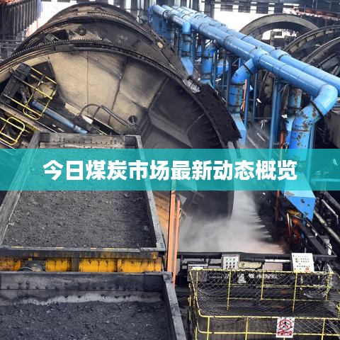 今日煤炭市场最新动态概览