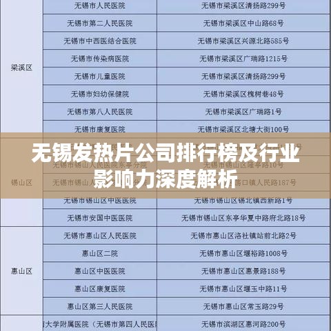 无锡发热片公司排行榜及行业影响力深度解析