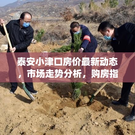 泰安小津口房价最新动态，市场走势分析，购房指南全解析