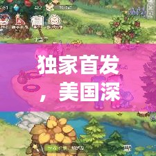 独家首发，美国深度旅游攻略，探索梦想国度的新篇章