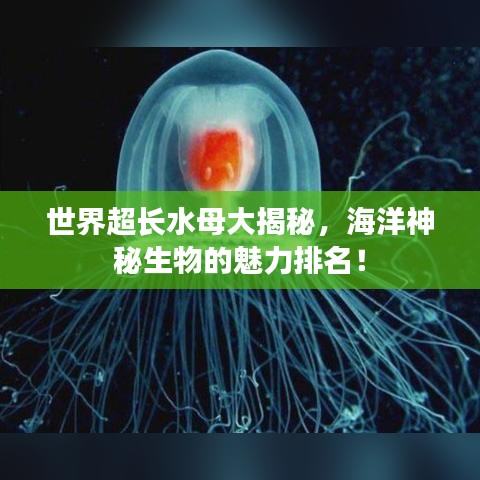 世界超长水母大揭秘，海洋神秘生物的魅力排名！