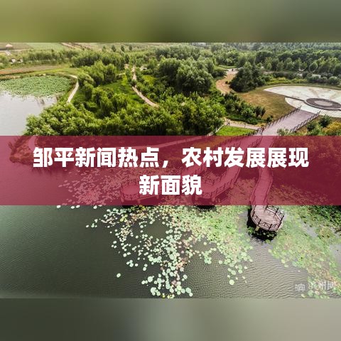 邹平新闻热点，农村发展展现新面貌