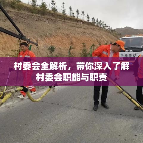 村委会全解析，带你深入了解村委会职能与职责