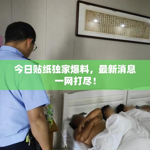 今日贴纸独家爆料，最新消息一网打尽！