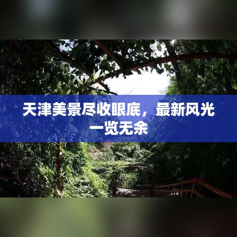 天津美景尽收眼底，最新风光一览无余