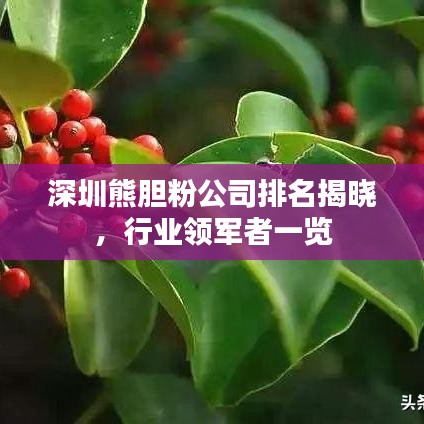 深圳熊胆粉公司排名揭晓，行业领军者一览