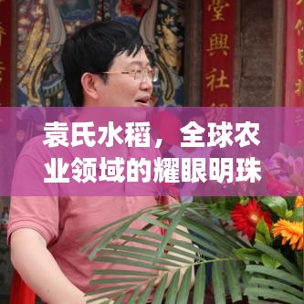 袁氏水稻，全球农业领域的耀眼明珠