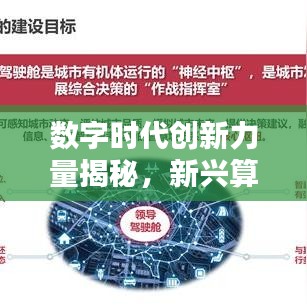 数字时代创新力量揭秘，新兴算法公司权威排名榜单揭晓！
