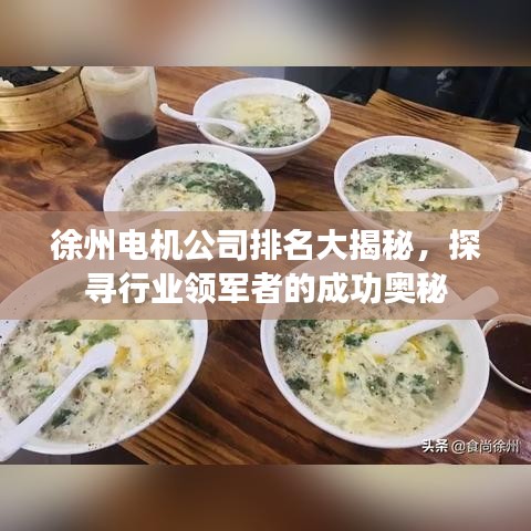 徐州电机公司排名大揭秘，探寻行业领军者的成功奥秘