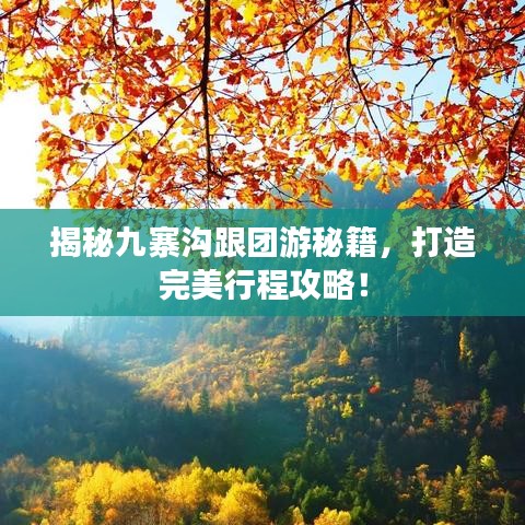揭秘九寨沟跟团游秘籍，打造完美行程攻略！