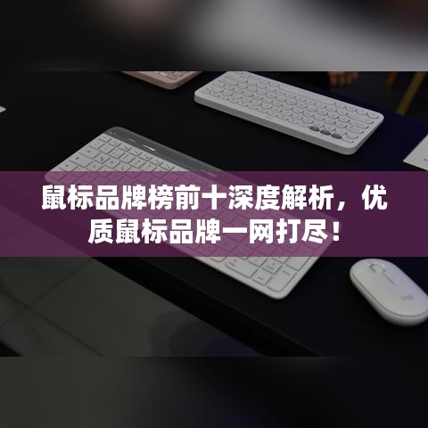 鼠标品牌榜前十深度解析，优质鼠标品牌一网打尽！