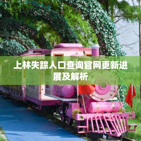 上林失踪人口查询官网更新进展及解析