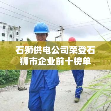 石狮供电公司荣登石狮市企业前十榜单