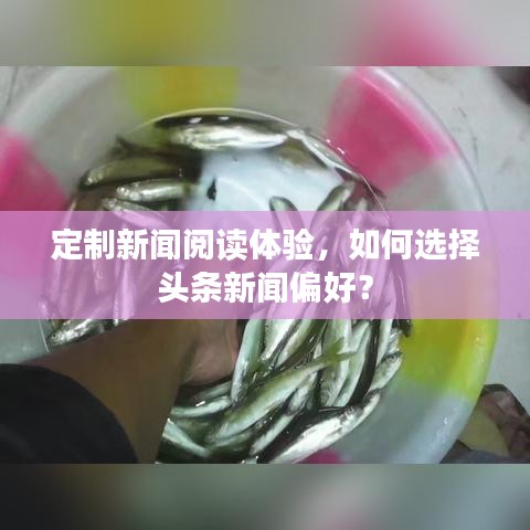 定制新闻阅读体验，如何选择头条新闻偏好？