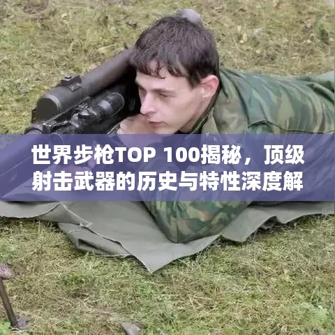 世界步枪TOP 100揭秘，顶级射击武器的历史与特性深度解析
