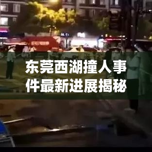 东莞西湖撞人事件最新进展揭秘，视频曝光、细节揭秘及社会反响强烈
