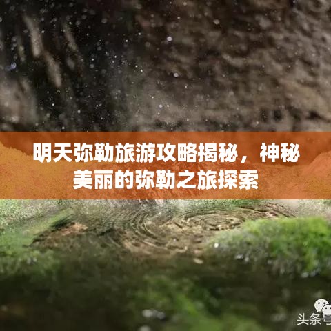 明天弥勒旅游攻略揭秘，神秘美丽的弥勒之旅探索