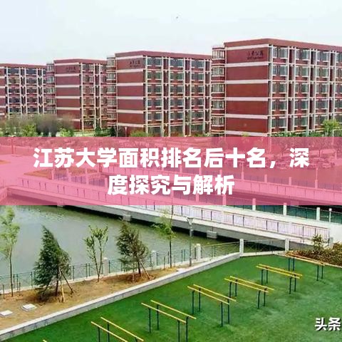 江苏大学面积排名后十名，深度探究与解析