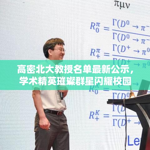 高密北大教授名单最新公示，学术精英璀璨群星闪耀校园
