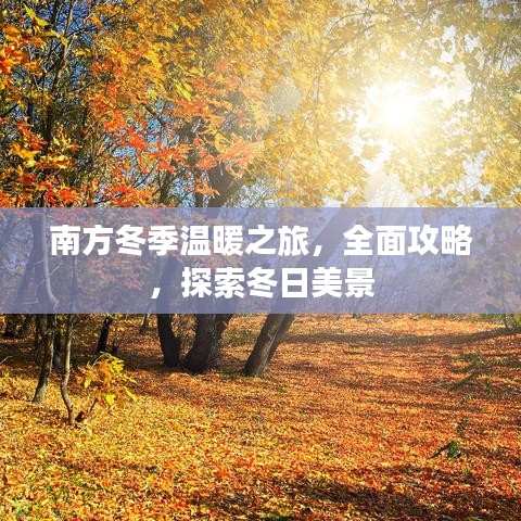 南方冬季温暖之旅，全面攻略，探索冬日美景