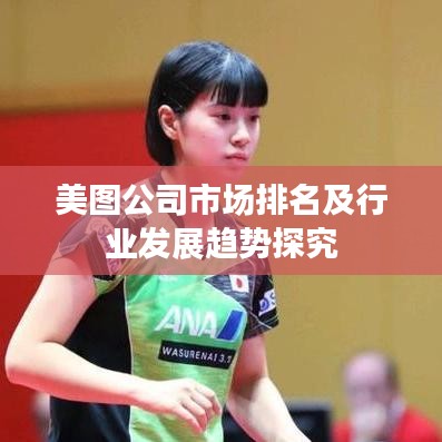 美图公司市场排名及行业发展趋势探究