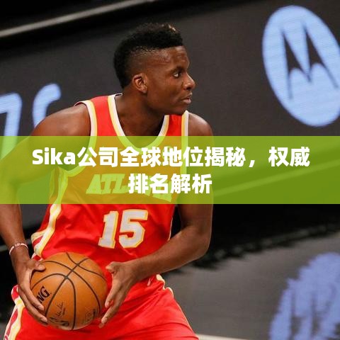 Sika公司全球地位揭秘，权威排名解析